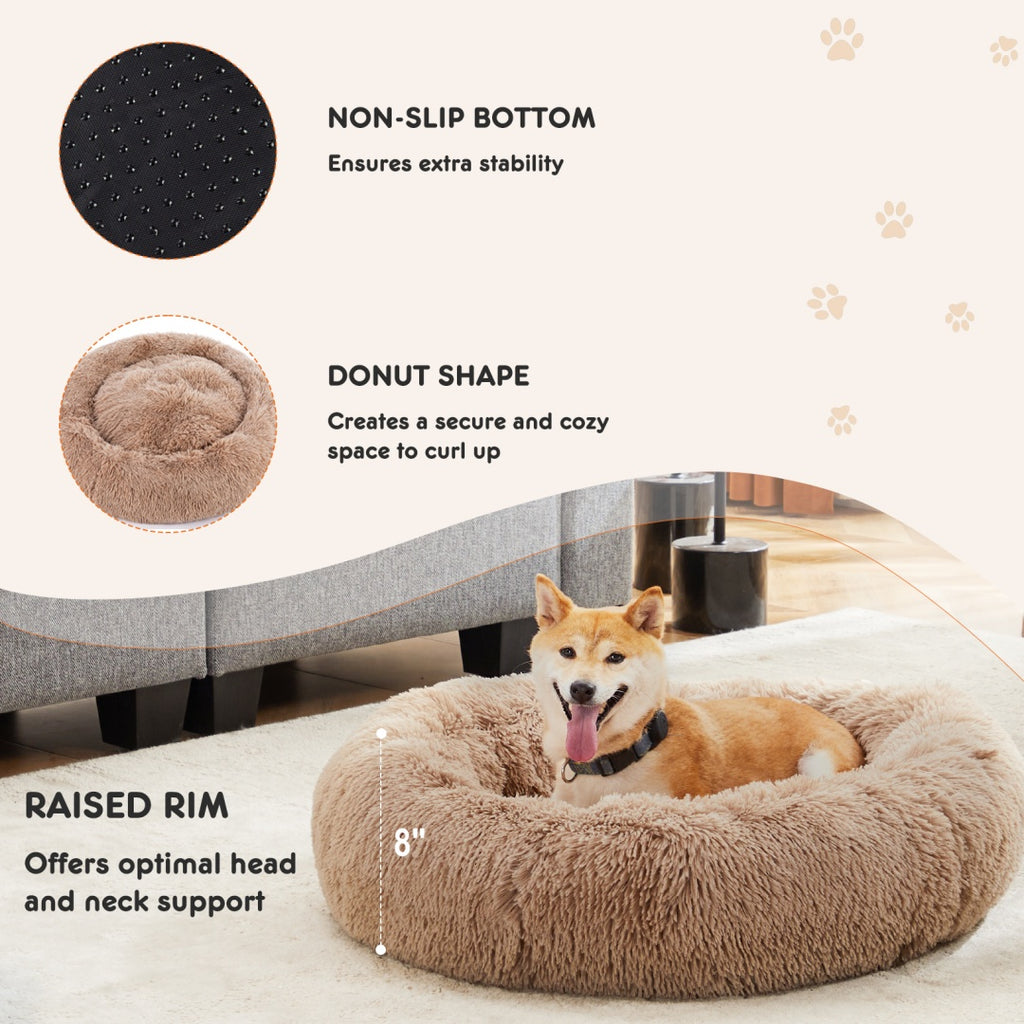 Raised rim, donut shape and non-slip bottom details