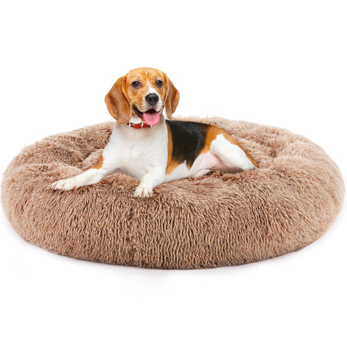 Cloud Calming Donut Bed in Mocha with a beagle resting inside